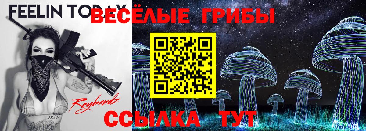 Сургут  цена   Вход с VPN  Псилоцибиновые грибы мицелий 