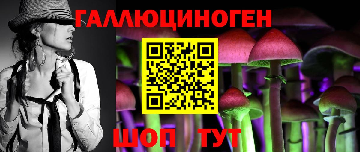 Псилоцибиновые грибы прущие грибы Сургут